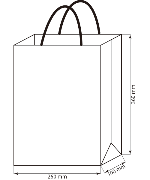 名入れ紙手提げ袋260mmx100mm