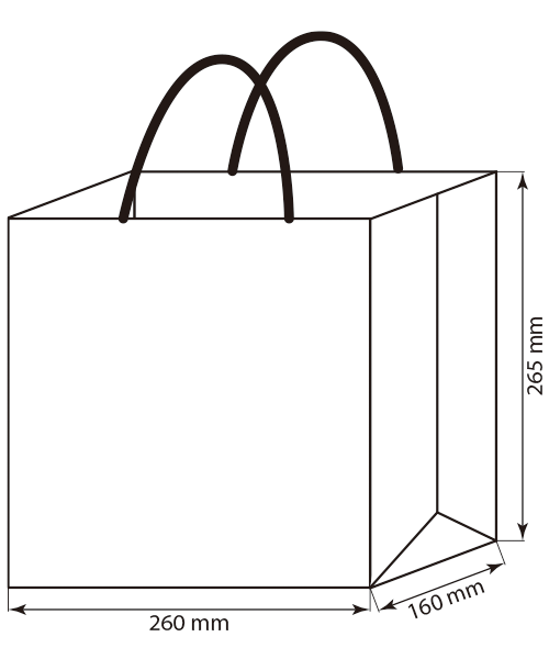 名入れ紙手提げ袋260mmx160mm